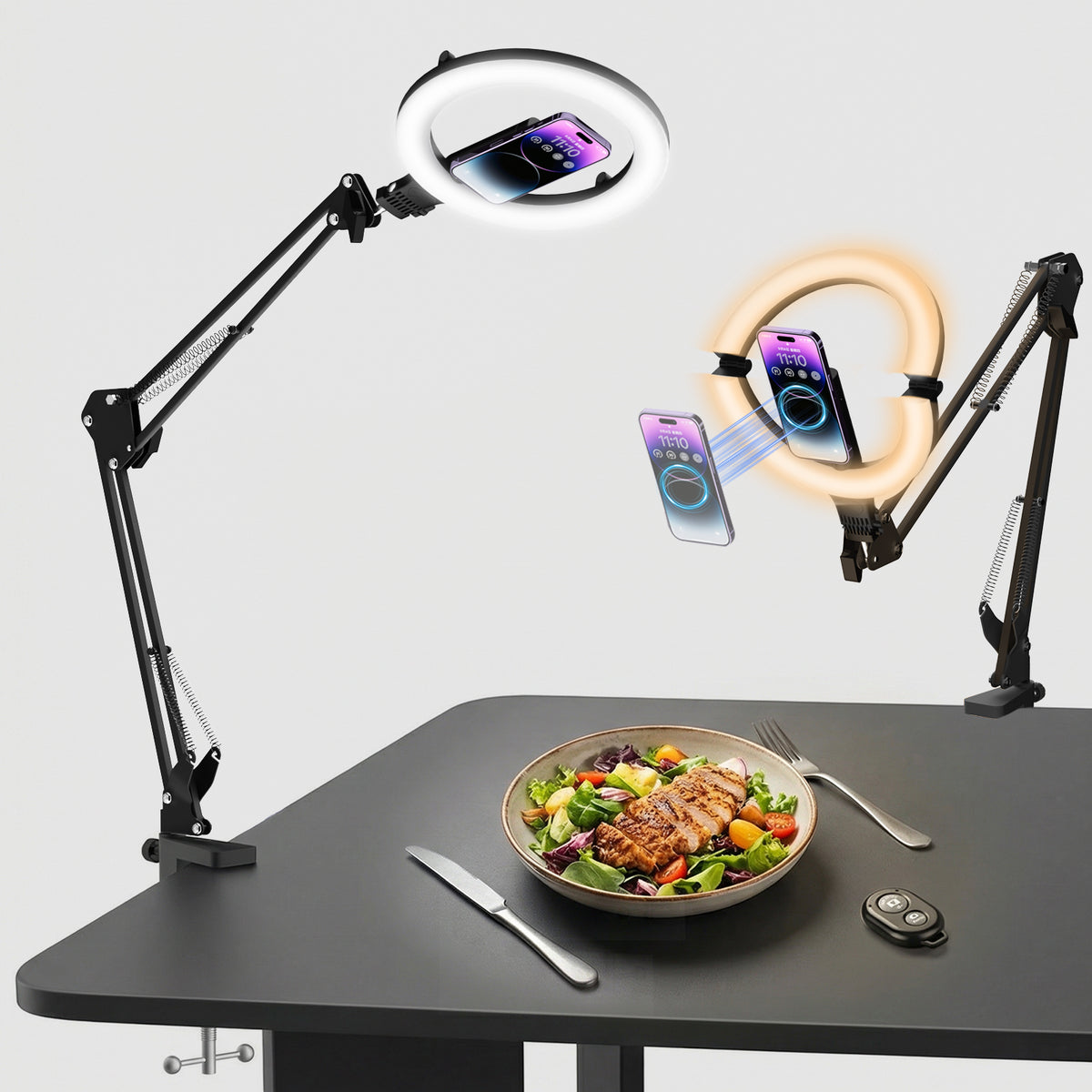 Cordless 10" Ring Light with Stand & Magnetic Phone Holder, Diyife 180° Foldable Desk Ring Light with Overhead Phone Mount, Remote, 3 Colors, 10 Brightnesses for Video